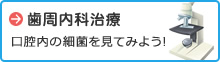 顕微鏡をみてみよう
お口の中の状態をチェックしよう！